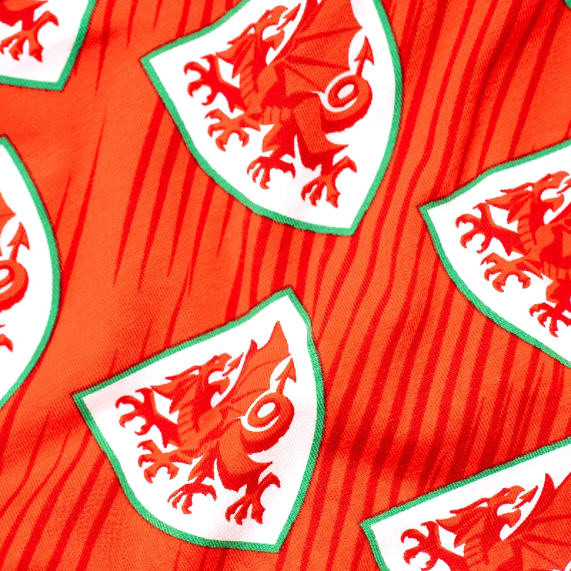 FA Wales - Home - Ladies Briefs