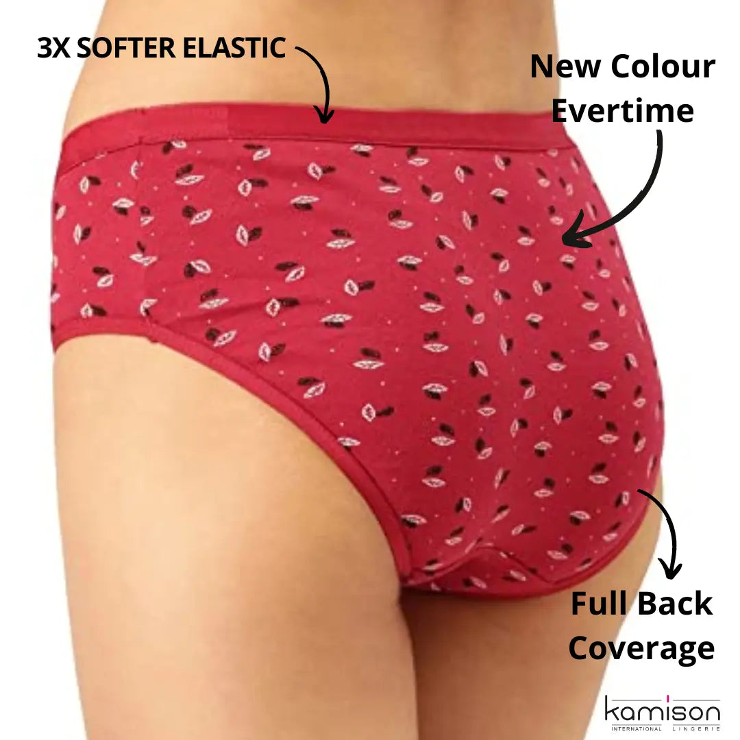 Panties for women Hipster Womens Underwear (pack of 4)