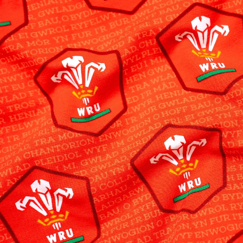 Welsh Rugby Union - Home - Ladies Briefs